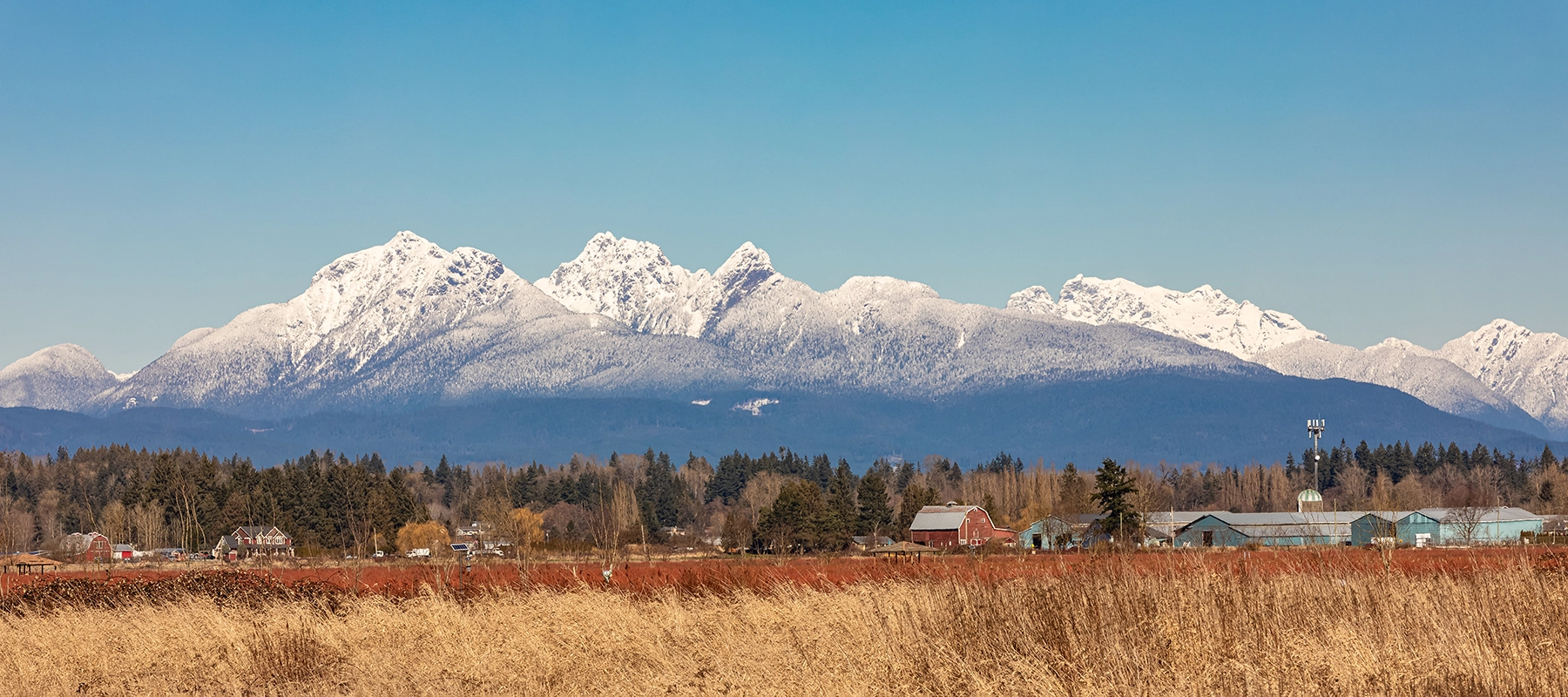 Maple Ridge Limos
